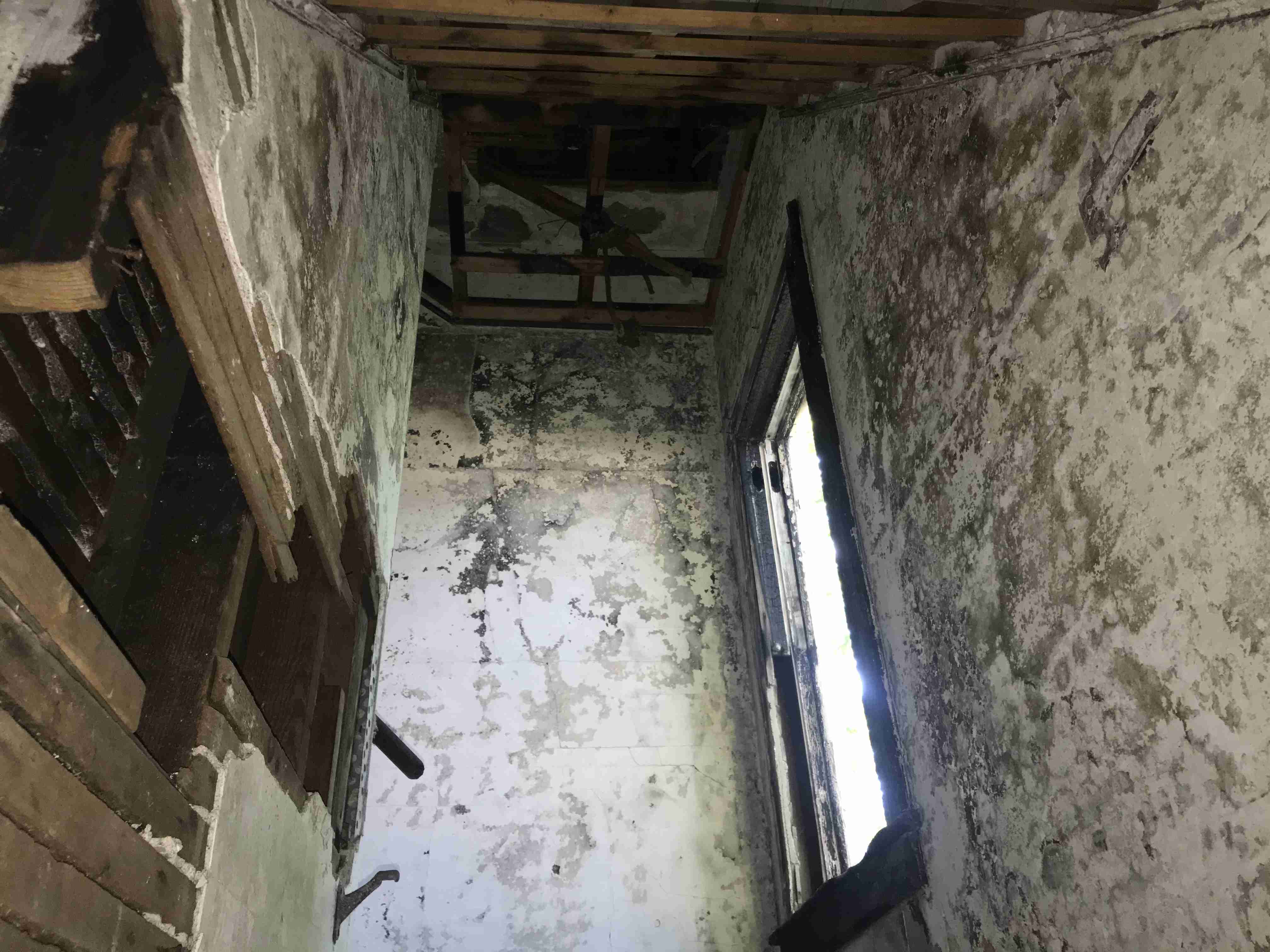 Photo Aug 21, 1 49 02 PM.jpg